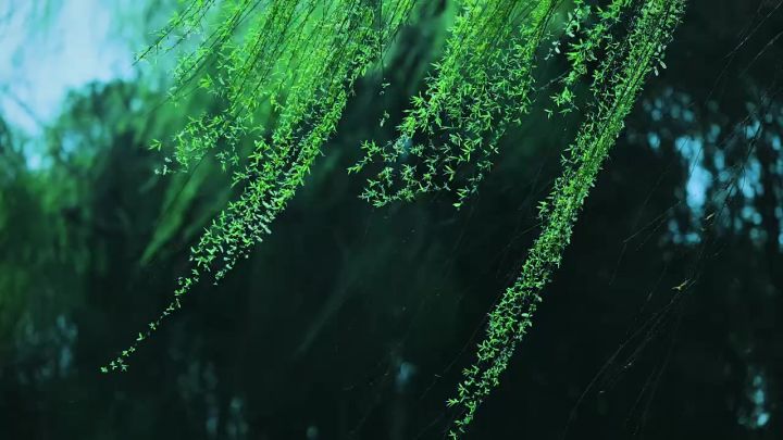 祝看到我这条帖子的人越来越好 家人平平安安 团团圆圆 幸福美满截图