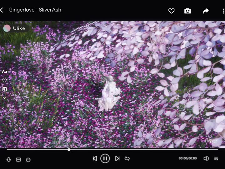 花~截图