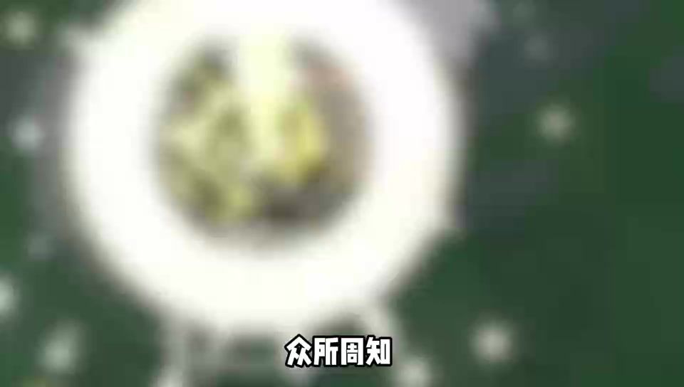 video-4971131