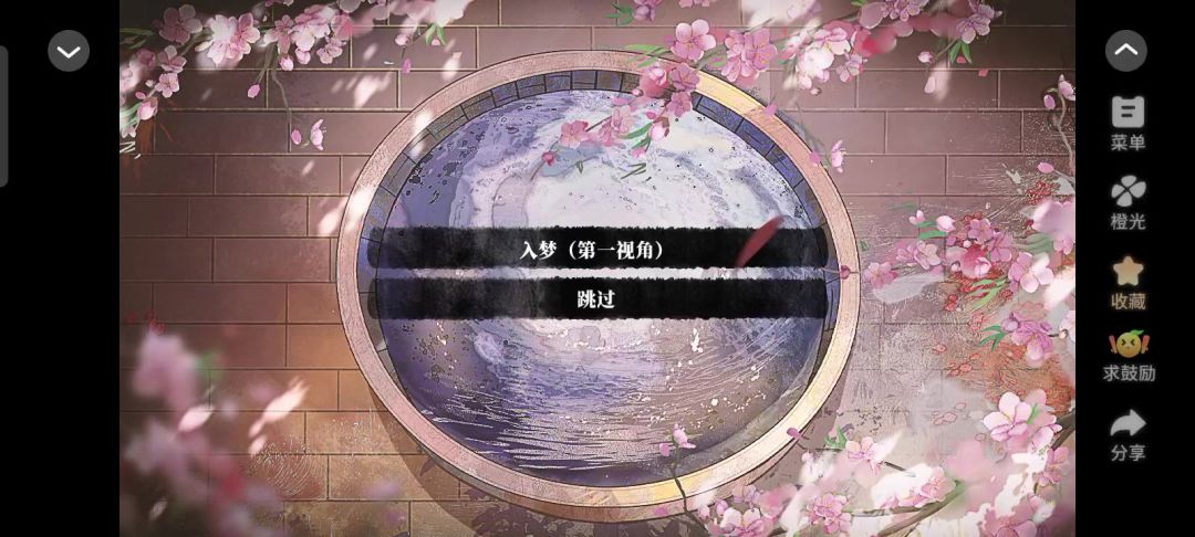 video-4972931