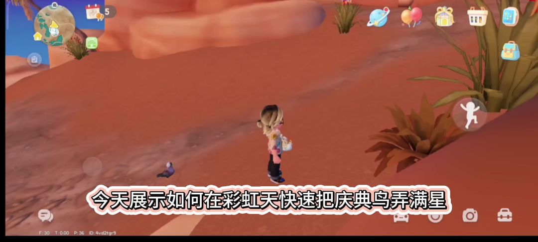 心动小镇庆典限定观鸟五星攻略截图