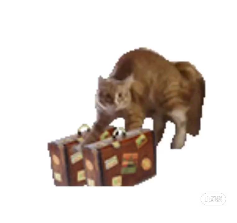 video-4975343