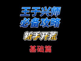 王于兴师新手开荒攻略基础篇