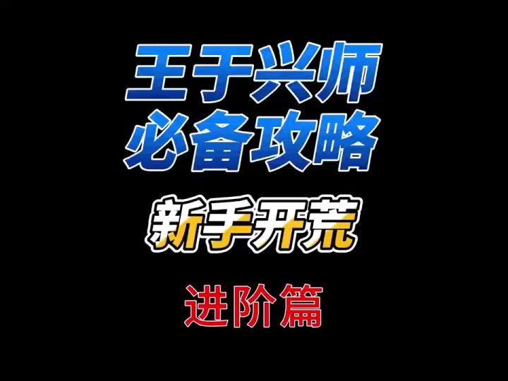 王于兴师开荒攻略进阶篇截图