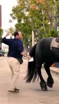 假期福利 | 浓情夏日，「粽」享好礼~