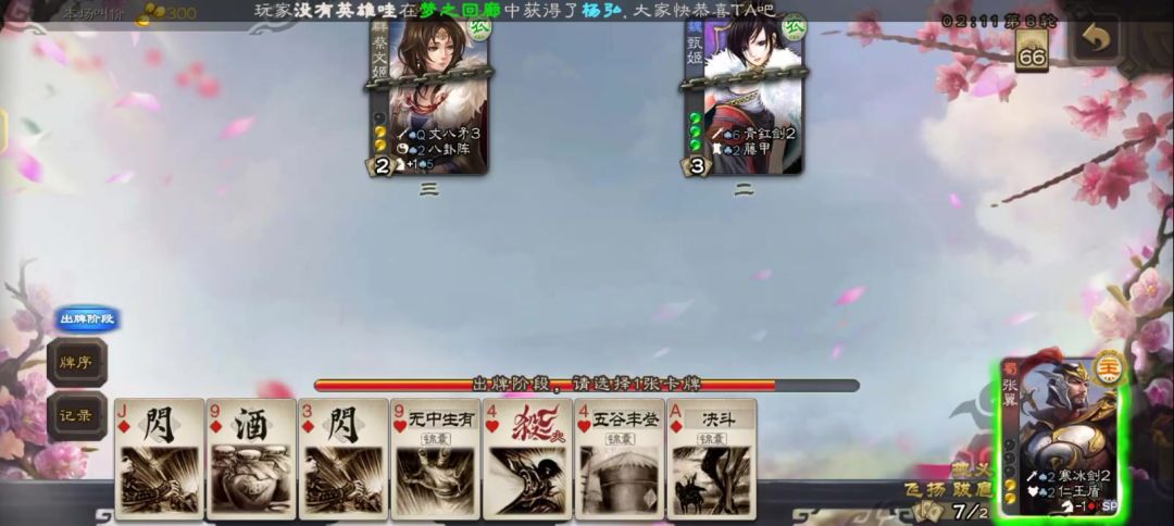video-4980405