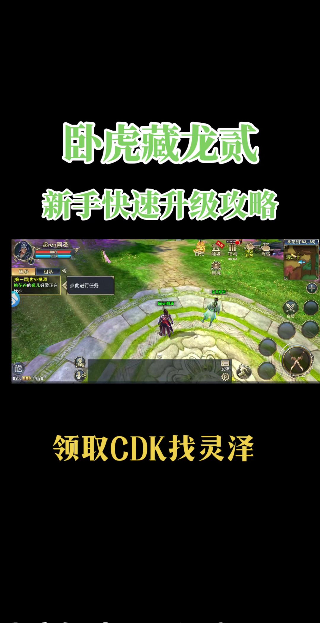 video-4981145