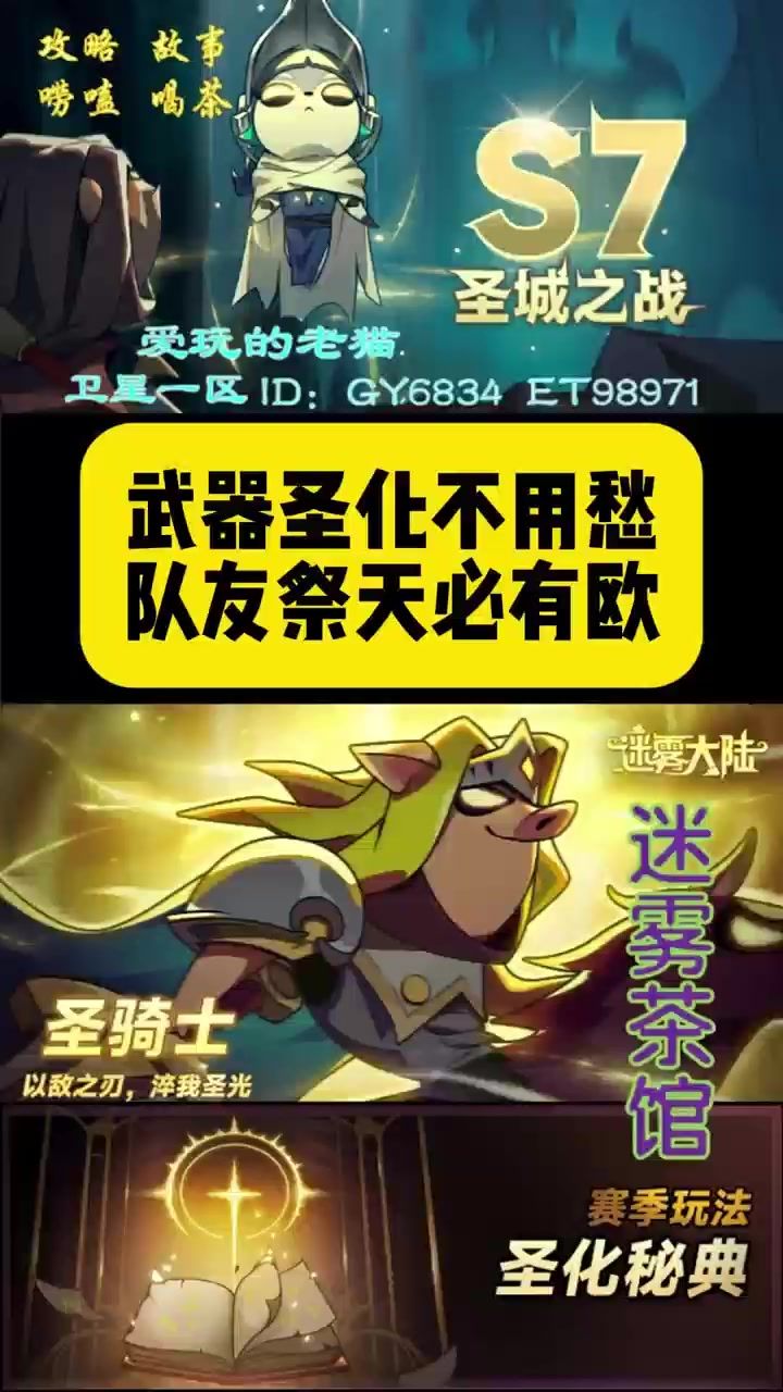 video-4982313
