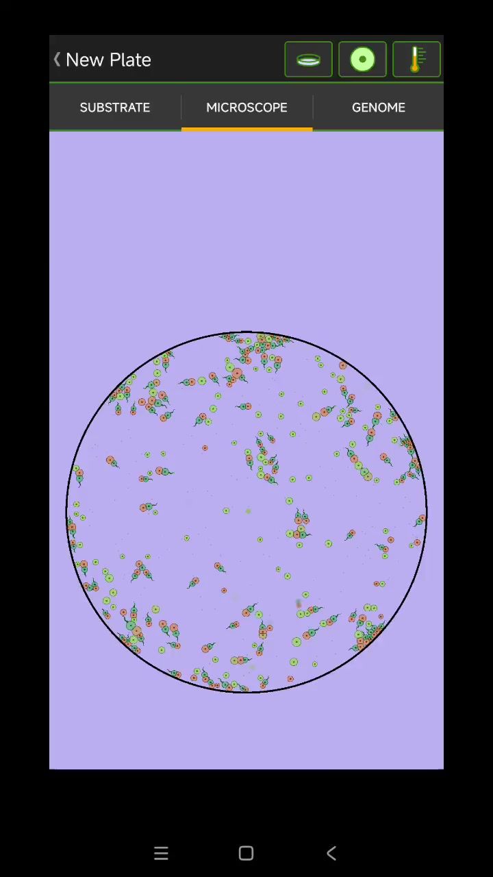 video-4983680