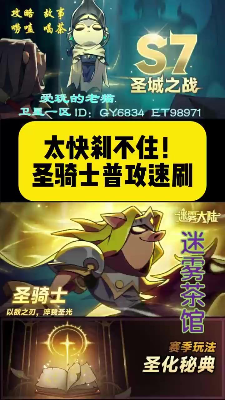 video-4984019