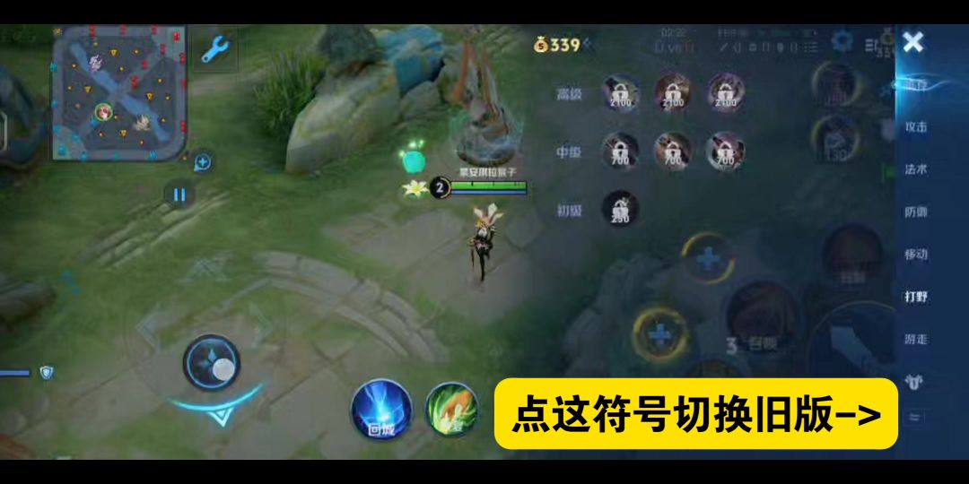 video-4991685