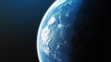 海中王者：鲨鱼