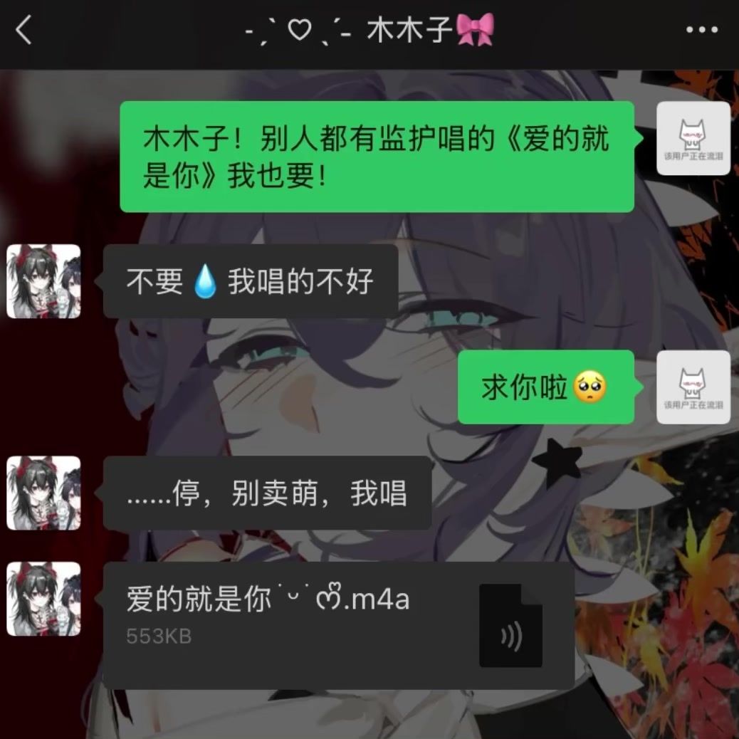 video-5001164