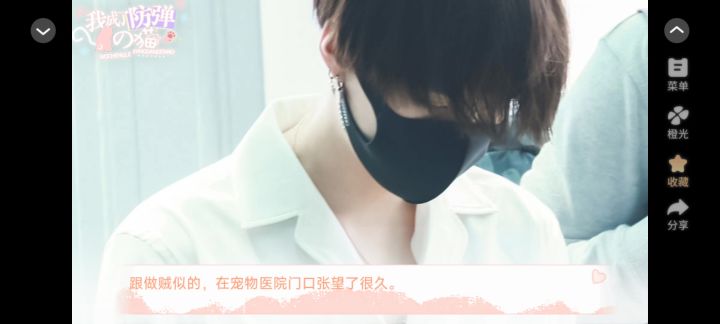 610成了bts的猫截图
