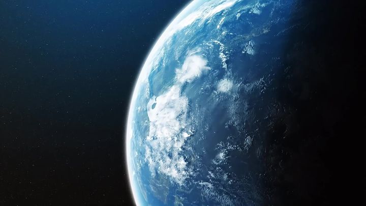 海洋精灵：海豚截图