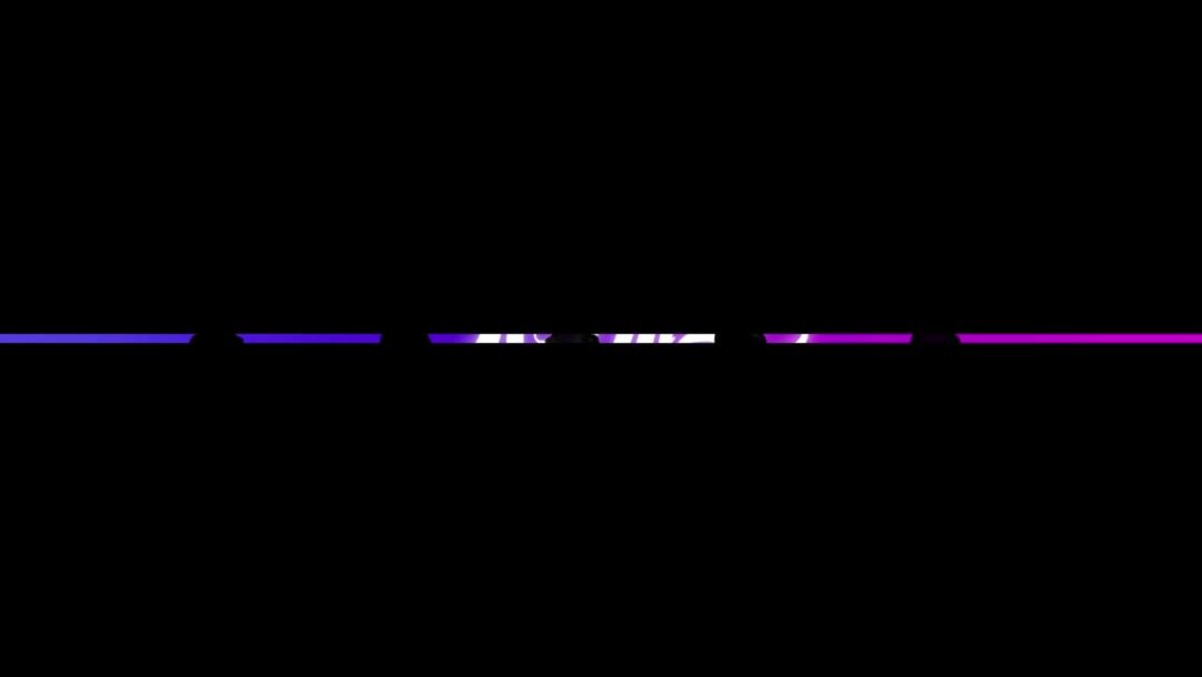 video-5006646
