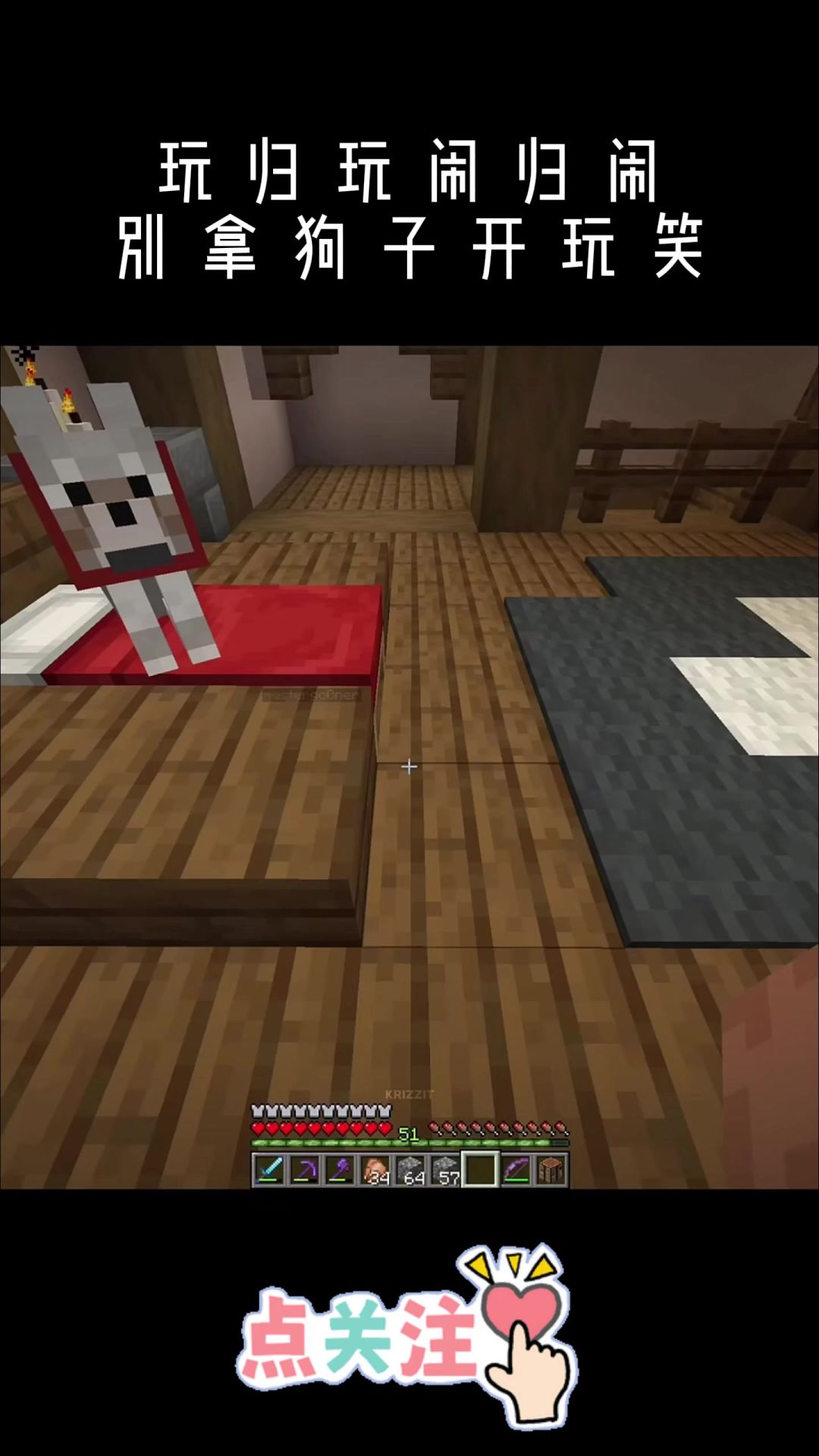 video-5008222