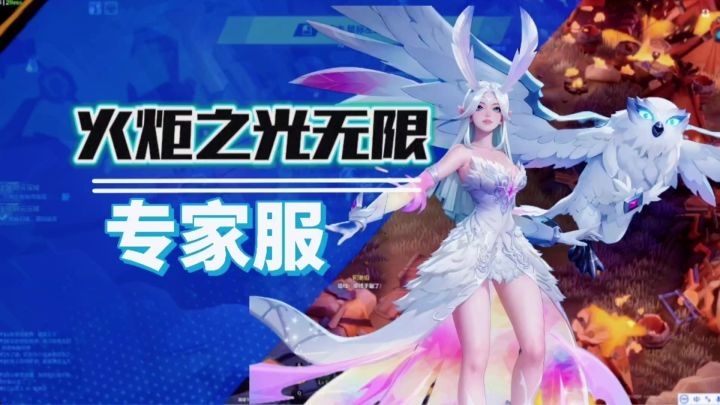 火炬之光无限专家服我来了截图