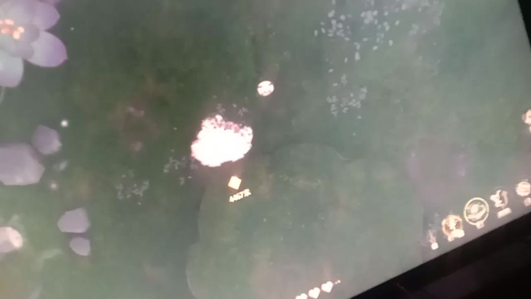 video-5010485