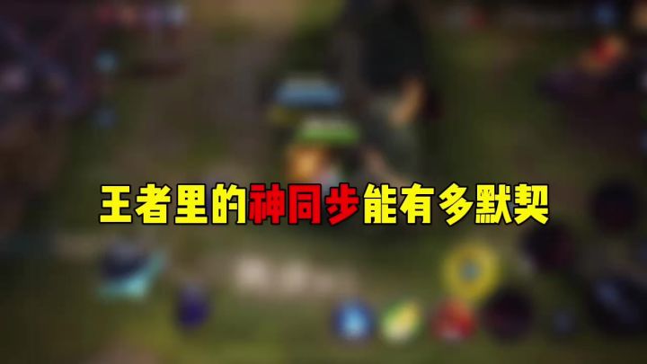 王者荣耀 : 王者里的神同步能有多默契截图