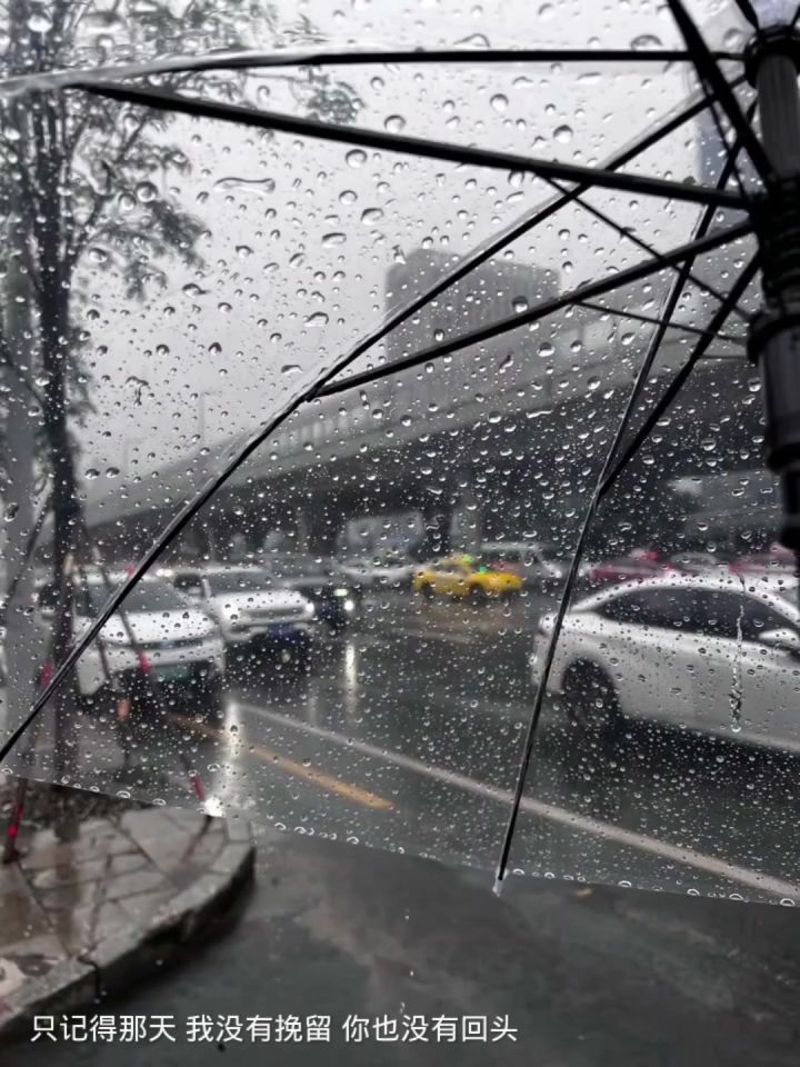讨厌下雨天截图