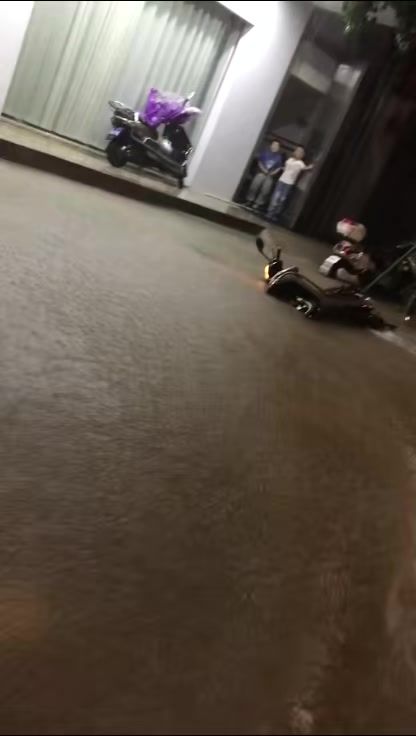 video-5012890