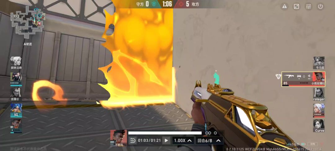 video-5014865