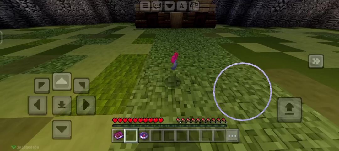 video-5018074