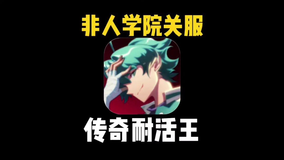 video-5022452