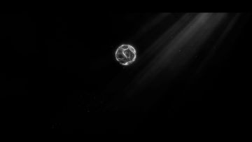 谈遍资本、影帝、巨星、顶流后，你璀璨登顶