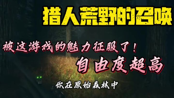 当猎人遇上开放世界截图