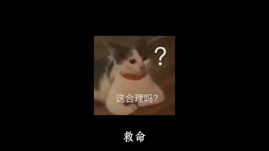 video-5026835