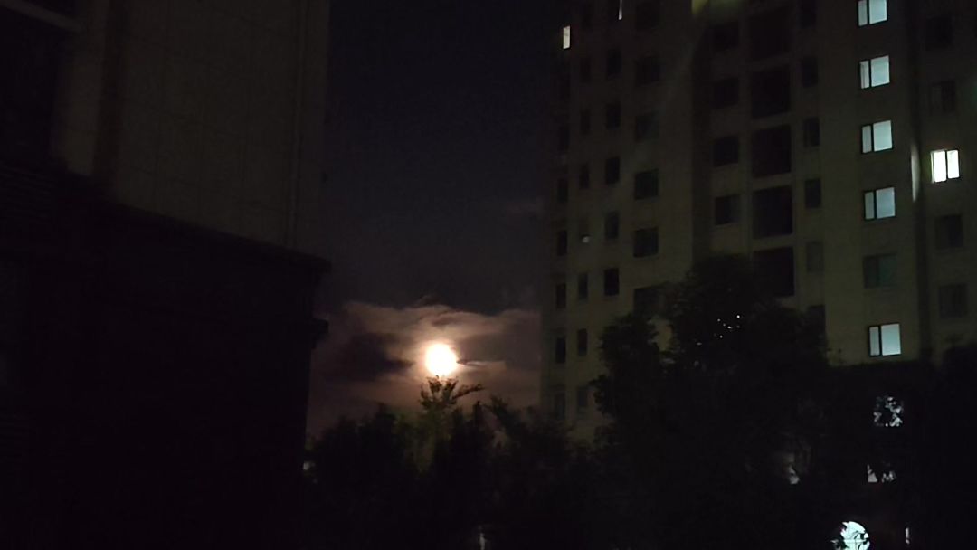 video-5029105