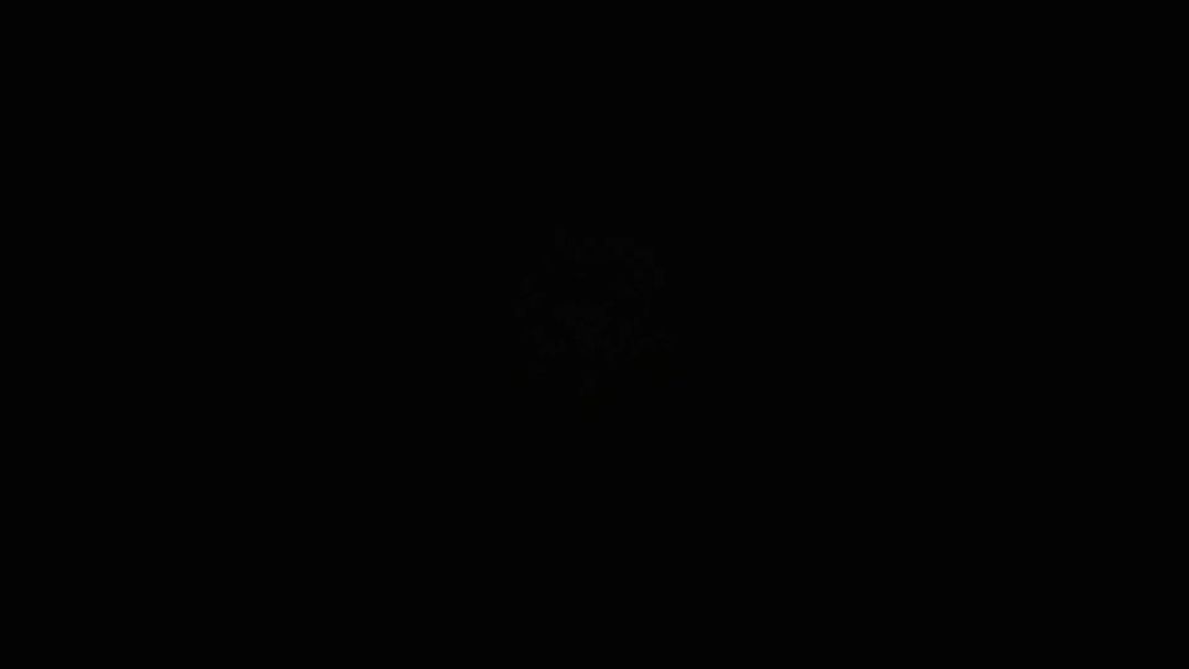 video-5029201