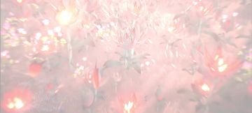 故事开头极具温柔但故事的结尾往往配不上整个开头