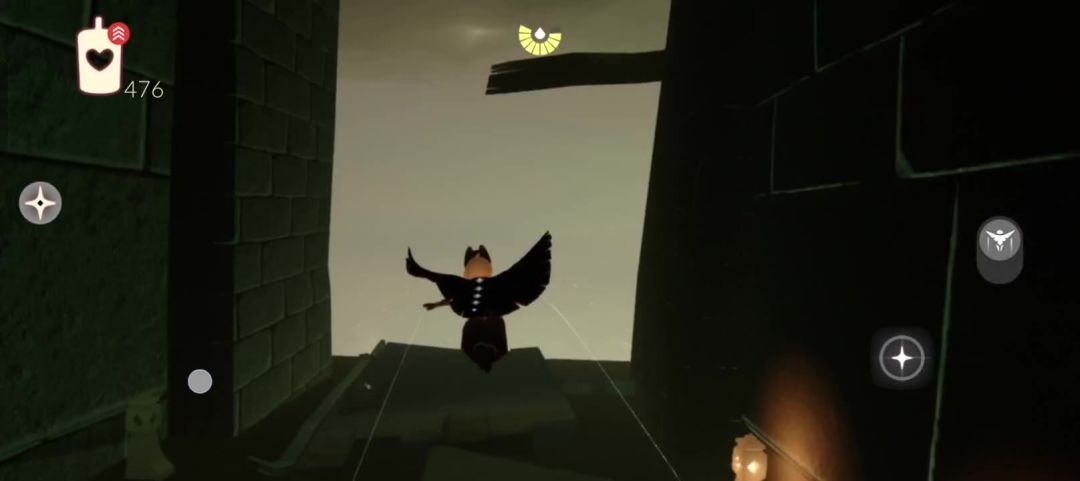 video-5031907