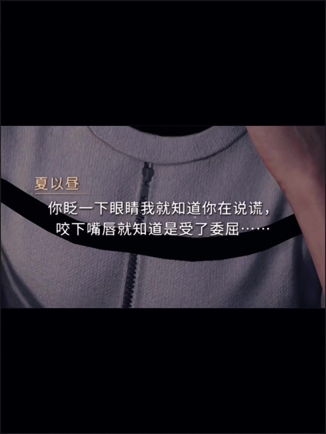 video-5033904