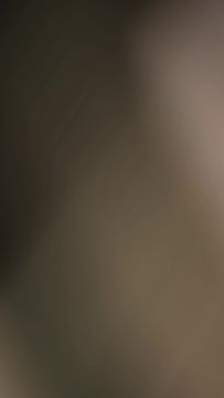 全服免费送月卡、时装、功法！体修重塑版本一览