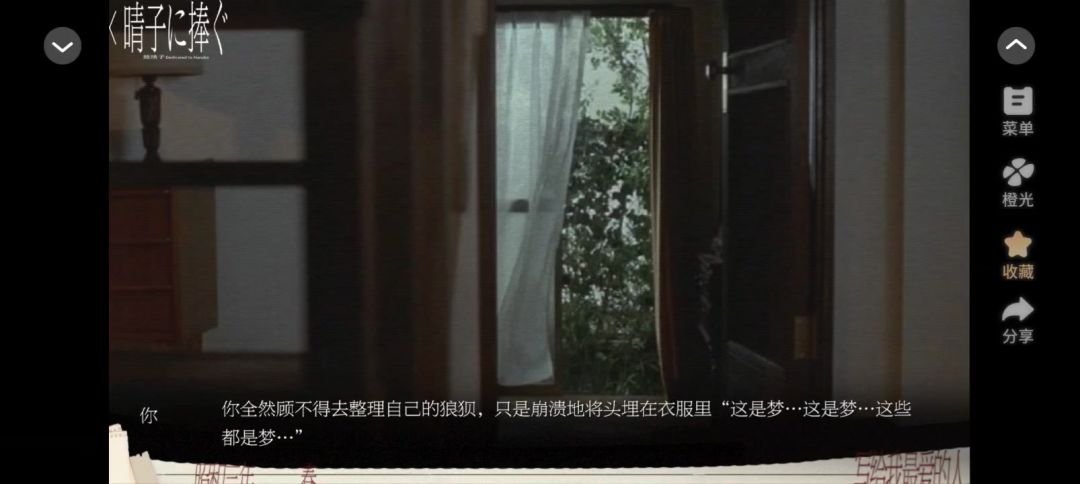 video-5035261