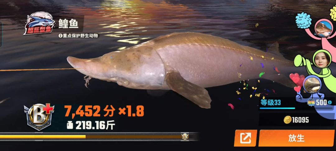 video-5037164