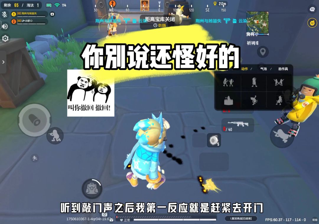 video-5037222