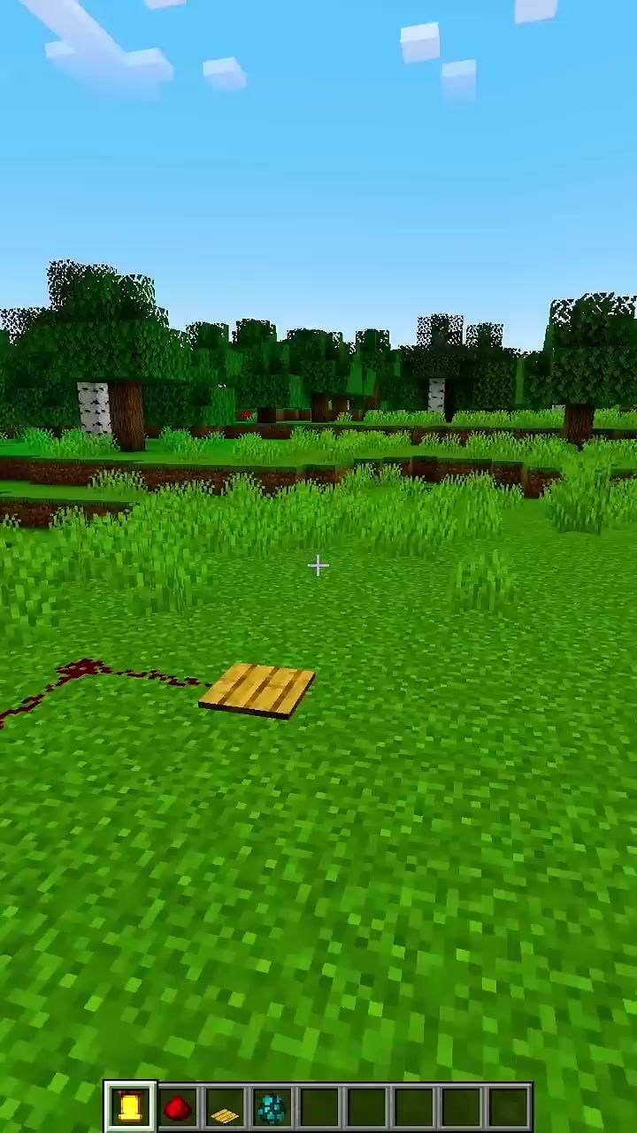 video-5038827