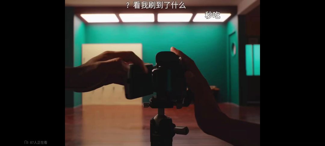 video-5040801