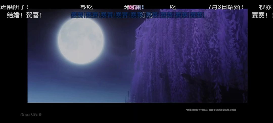 video-5040812