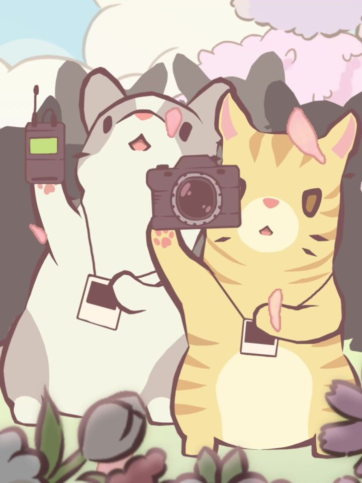 猫咪新闻 | 新版本倒计时!kiki记者快报截图