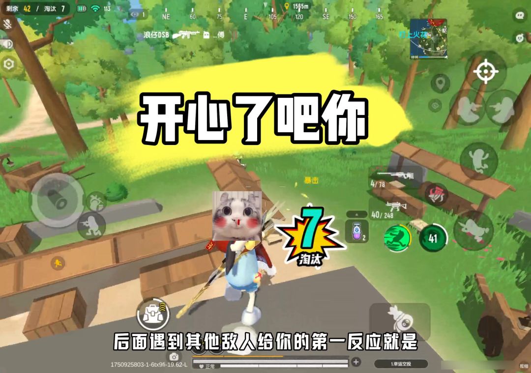 video-5041382
