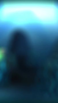 【前瞻】海带护卫：让我们组成坚实的防御！