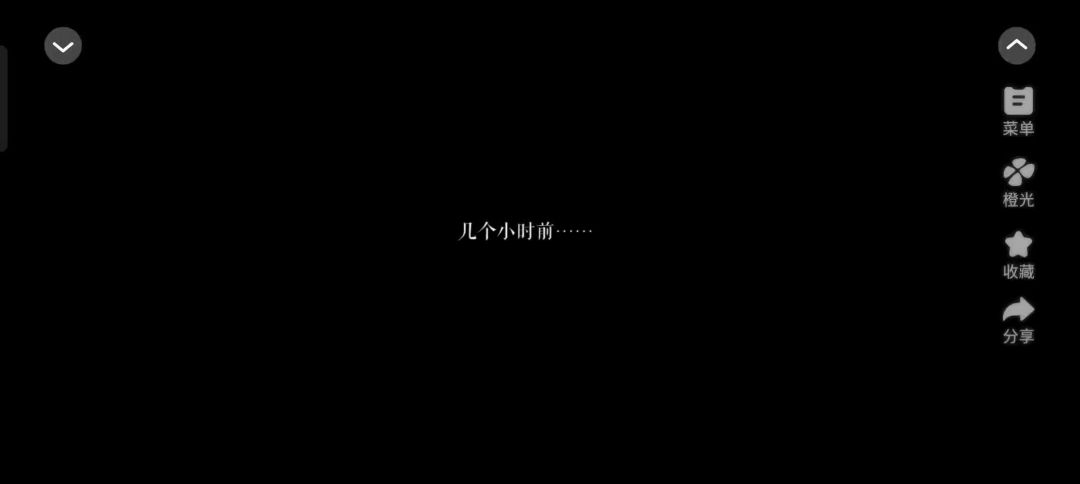 video-5043858
