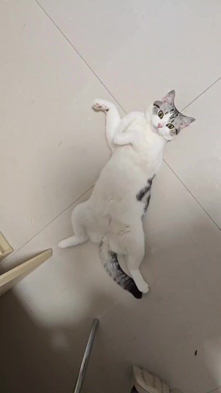 大家多久保一次档比较保险啊?截图