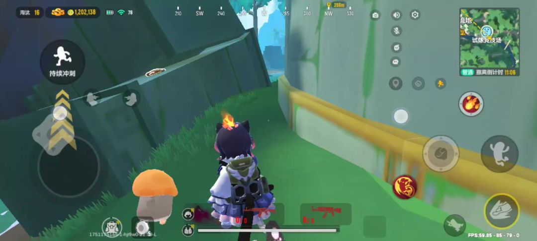 video-5045004